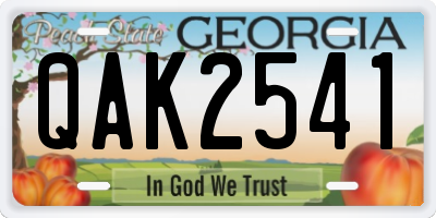 GA license plate QAK2541