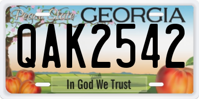 GA license plate QAK2542