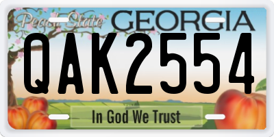 GA license plate QAK2554