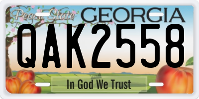 GA license plate QAK2558