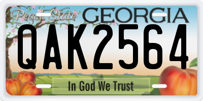 GA license plate QAK2564