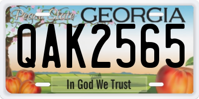 GA license plate QAK2565