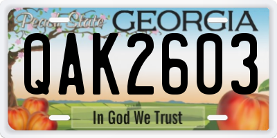 GA license plate QAK2603