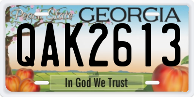 GA license plate QAK2613