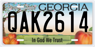 GA license plate QAK2614