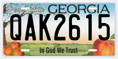 GA license plate QAK2615