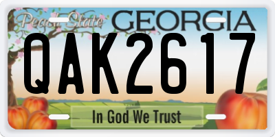 GA license plate QAK2617