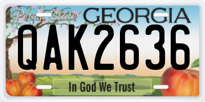 GA license plate QAK2636