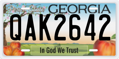 GA license plate QAK2642