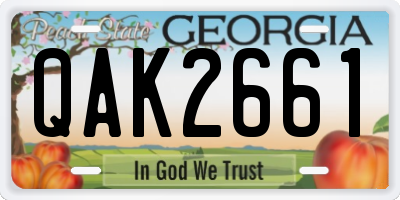 GA license plate QAK2661