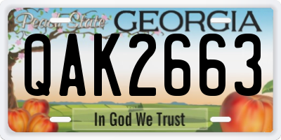GA license plate QAK2663