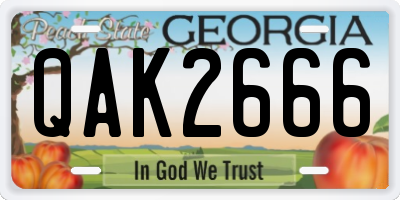 GA license plate QAK2666