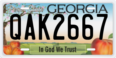 GA license plate QAK2667
