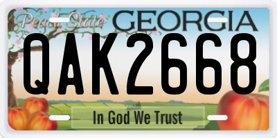 GA license plate QAK2668