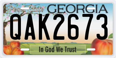 GA license plate QAK2673