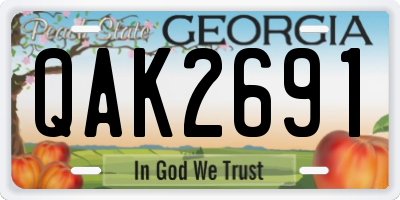 GA license plate QAK2691