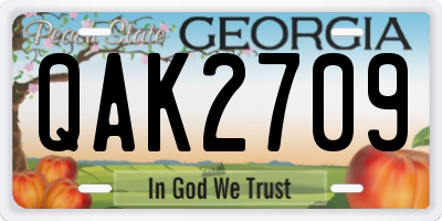 GA license plate QAK2709