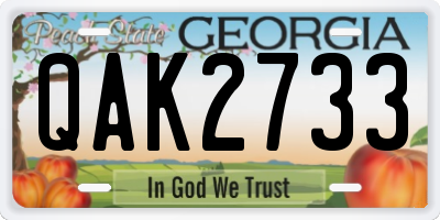 GA license plate QAK2733