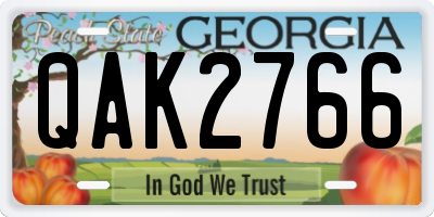 GA license plate QAK2766