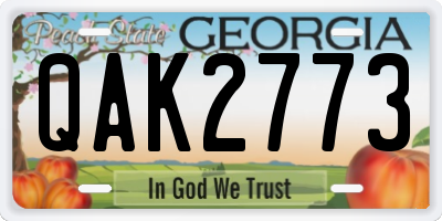 GA license plate QAK2773
