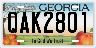 GA license plate QAK2801
