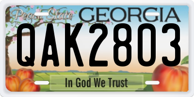 GA license plate QAK2803