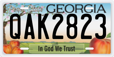 GA license plate QAK2823