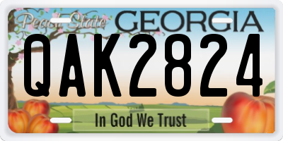 GA license plate QAK2824