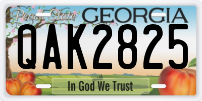 GA license plate QAK2825