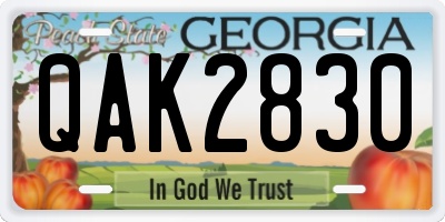 GA license plate QAK2830