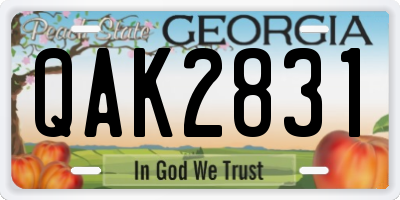 GA license plate QAK2831