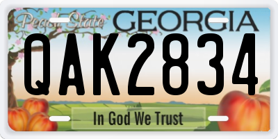 GA license plate QAK2834