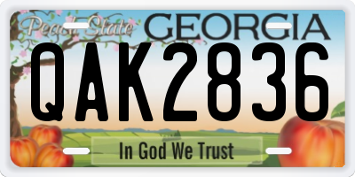 GA license plate QAK2836