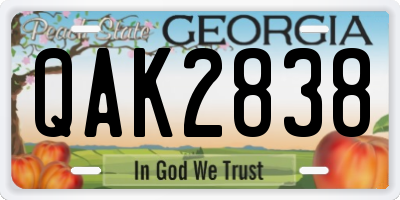 GA license plate QAK2838