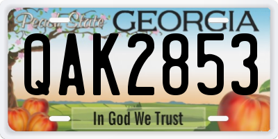 GA license plate QAK2853