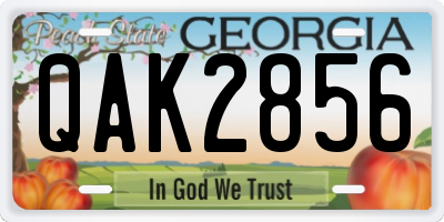 GA license plate QAK2856