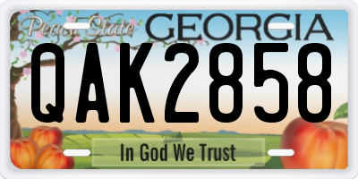 GA license plate QAK2858