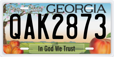 GA license plate QAK2873