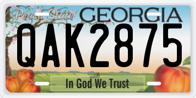 GA license plate QAK2875