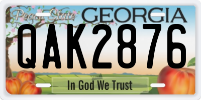 GA license plate QAK2876