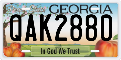 GA license plate QAK2880