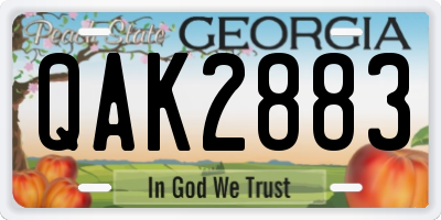 GA license plate QAK2883