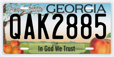 GA license plate QAK2885