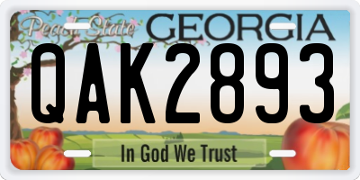 GA license plate QAK2893