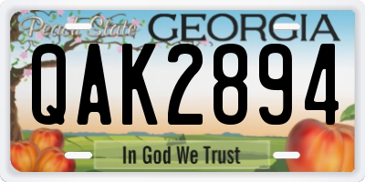 GA license plate QAK2894