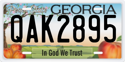 GA license plate QAK2895