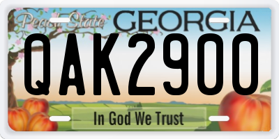 GA license plate QAK2900