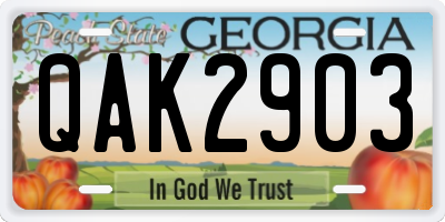 GA license plate QAK2903