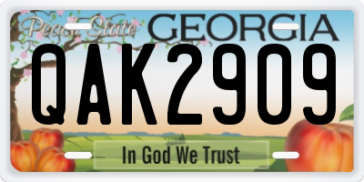 GA license plate QAK2909