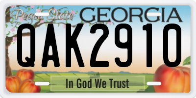 GA license plate QAK2910